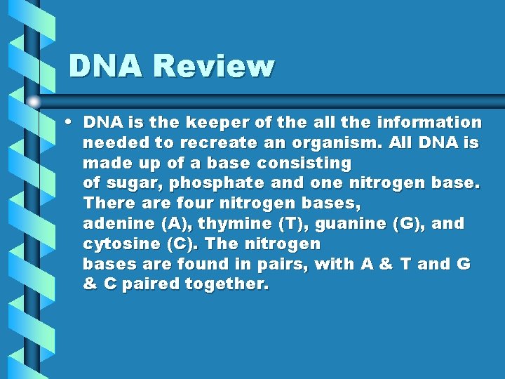 DNA Review • DNA is the keeper of the all the information needed to