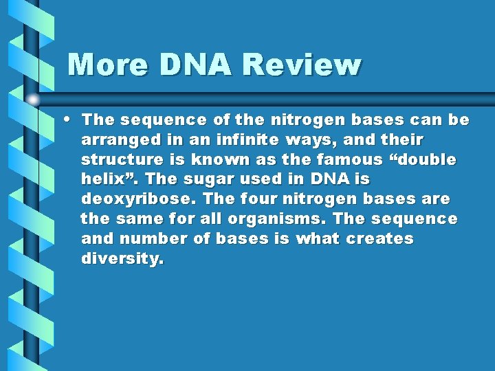 More DNA Review • The sequence of the nitrogen bases can be arranged in