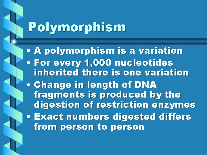 Polymorphism • A polymorphism is a variation • For every 1, 000 nucleotides inherited