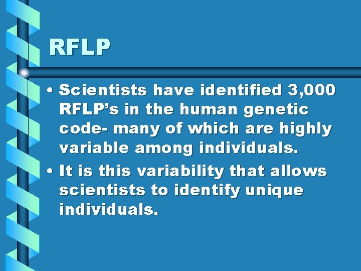 RFLP • Scientists have identified 3, 000 RFLP’s in the human genetic code- many
