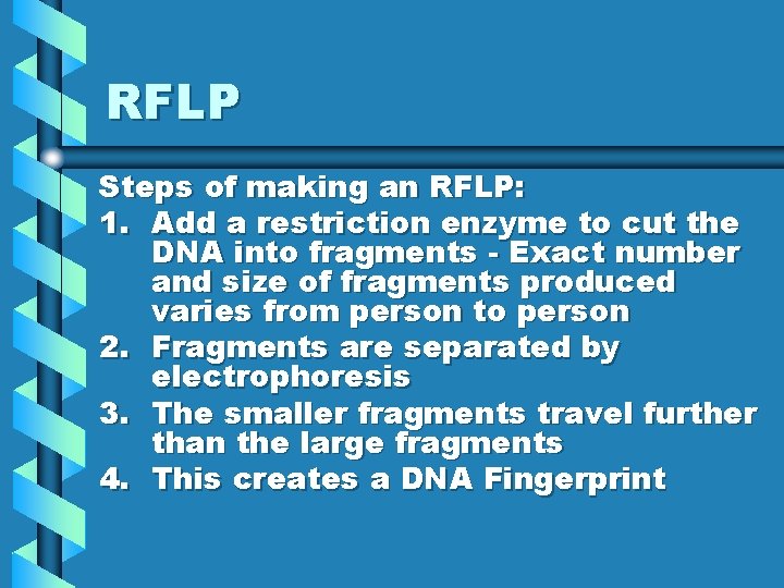 RFLP Steps of making an RFLP: 1. Add a restriction enzyme to cut the