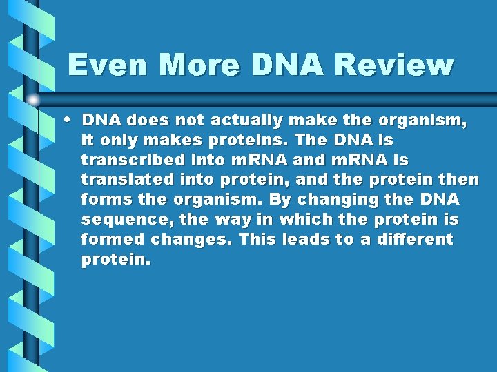 Even More DNA Review • DNA does not actually make the organism, it only