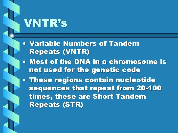 VNTR’s • Variable Numbers of Tandem Repeats (VNTR) • Most of the DNA in