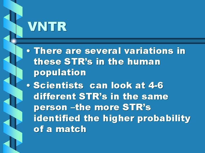 VNTR • There are several variations in these STR’s in the human population •