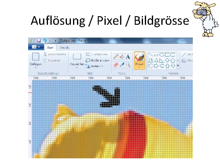 Auflösung / Pixel / Bildgrösse 