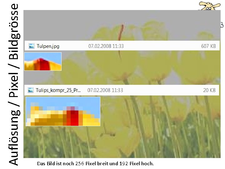 Auflösung / Pixel / Bildgrösse 900% Das Bild ist noch 256 Pixel breit und