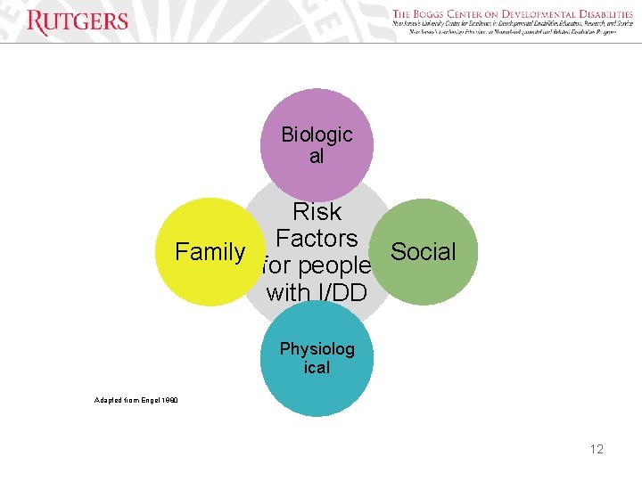 Biologic al Risk Factors Family Social for people with I/DD Physiolog ical Adapted from