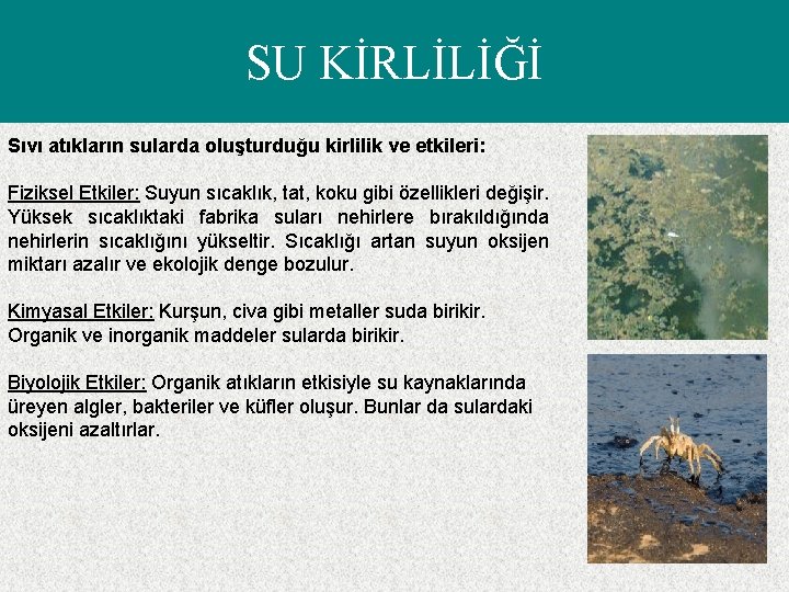 SU KİRLİLİĞİ Sıvı atıkların sularda oluşturduğu kirlilik ve etkileri: Fiziksel Etkiler: Suyun sıcaklık, tat,