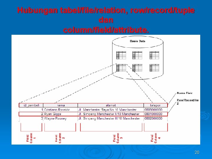 Hubungan tabel/file/relation, row/record/tuple dan column/field/attribute. 20 