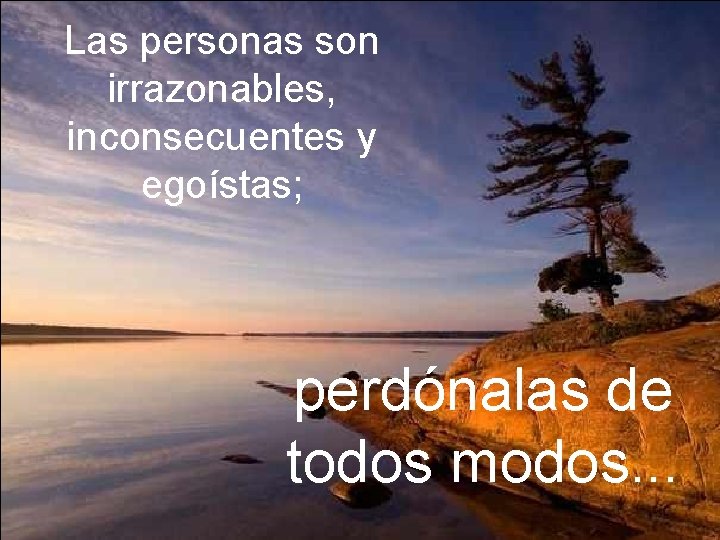 Las personas son irrazonables, inconsecuentes y egoístas; perdónalas de todos modos. . . 