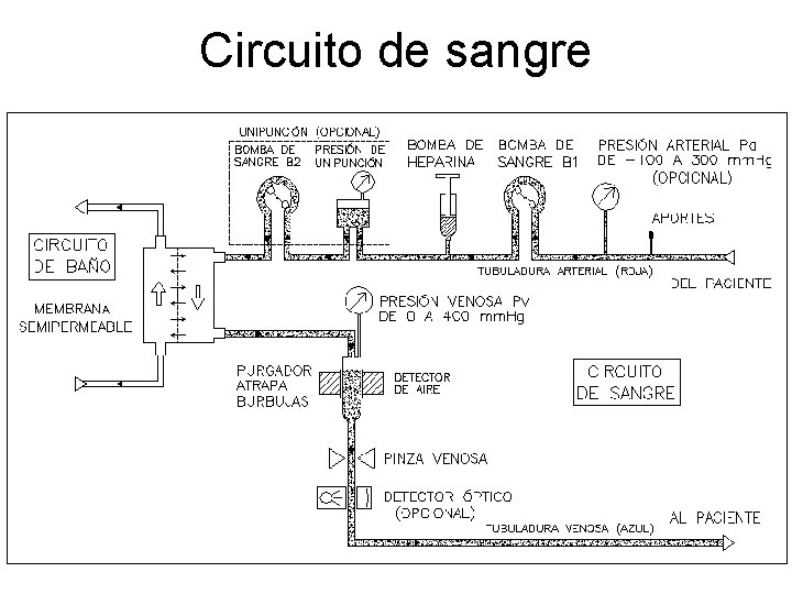 Circuito de sangre 