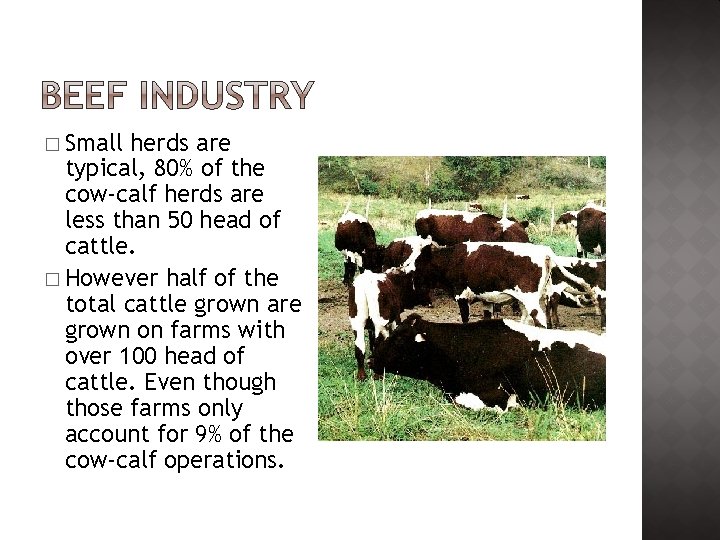 � Small herds are typical, 80% of the cow-calf herds are less than 50