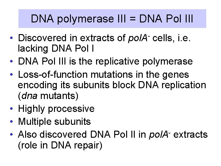 DNA polymerase III = DNA Pol III • Discovered in extracts of pol. A-