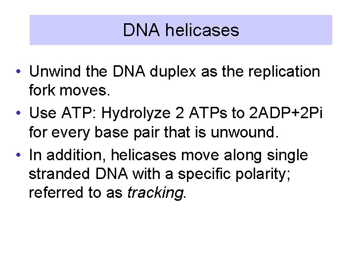DNA helicases • Unwind the DNA duplex as the replication fork moves. • Use