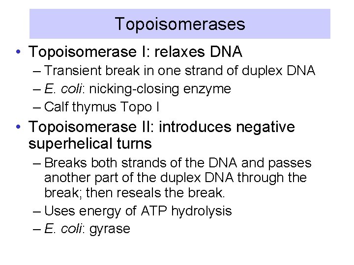 Topoisomerases • Topoisomerase I: relaxes DNA – Transient break in one strand of duplex