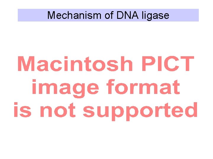 Mechanism of DNA ligase 