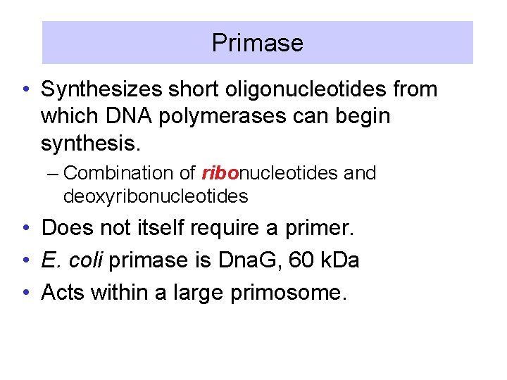 Primase • Synthesizes short oligonucleotides from which DNA polymerases can begin synthesis. – Combination