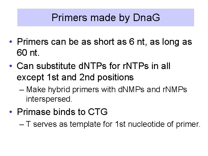 Primers made by Dna. G • Primers can be as short as 6 nt,