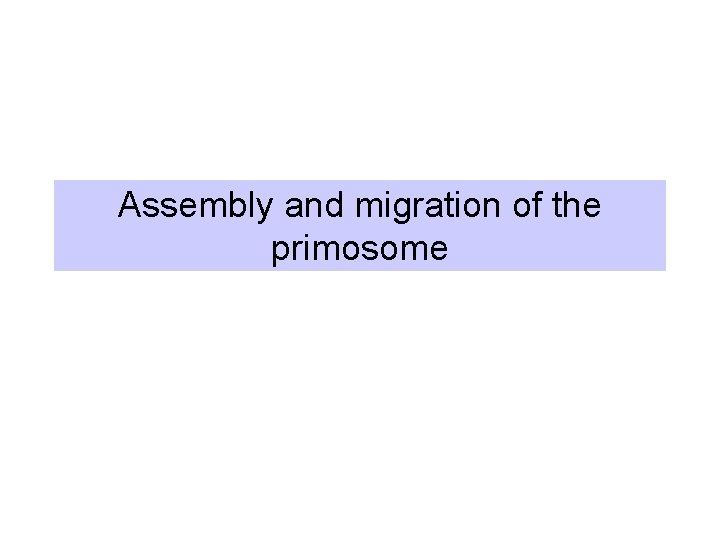 Assembly and migration of the primosome 