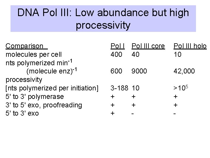 DNA Pol III: Low abundance but high processivity Comparison molecules per cell nts polymerized