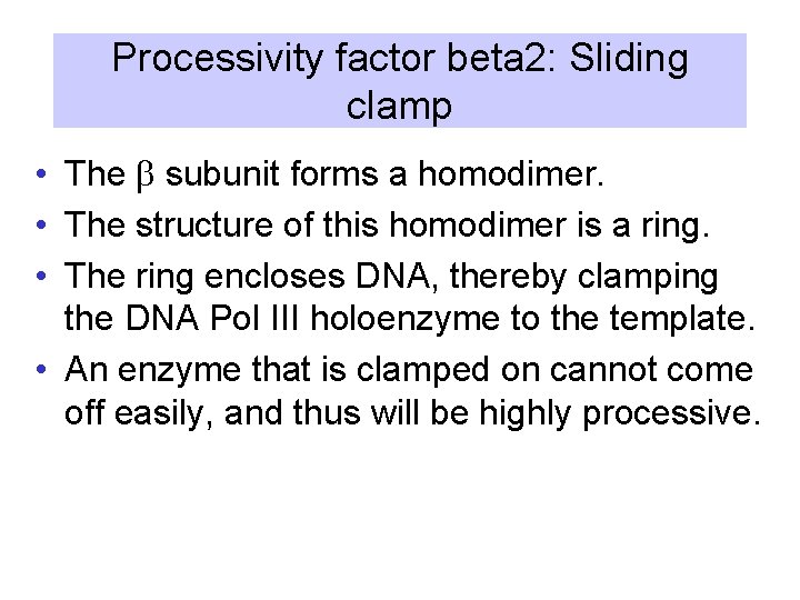 Processivity factor beta 2: Sliding clamp • The b subunit forms a homodimer. •