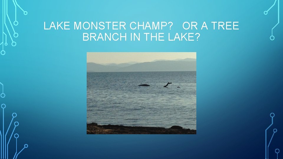 LAKE MONSTER CHAMP? OR A TREE BRANCH IN THE LAKE? 