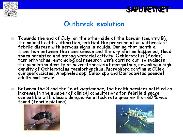 Outbreak evolution n n Towards the end of July, on the other side of