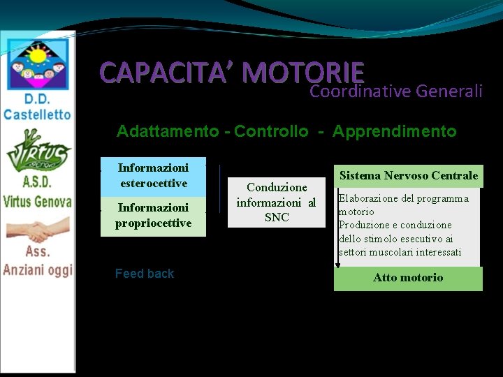 CAPACITA’ MOTORIE Coordinative Generali Adattamento - Controllo - Apprendimento Informazioni esterocettive Informazioni propriocettive Conduzione