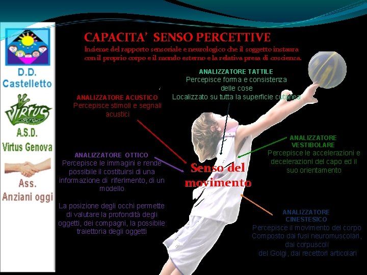 CAPACITA’ SENSO PERCETTIVE Insieme del rapporto sensoriale e neurologico che il soggetto instaura con