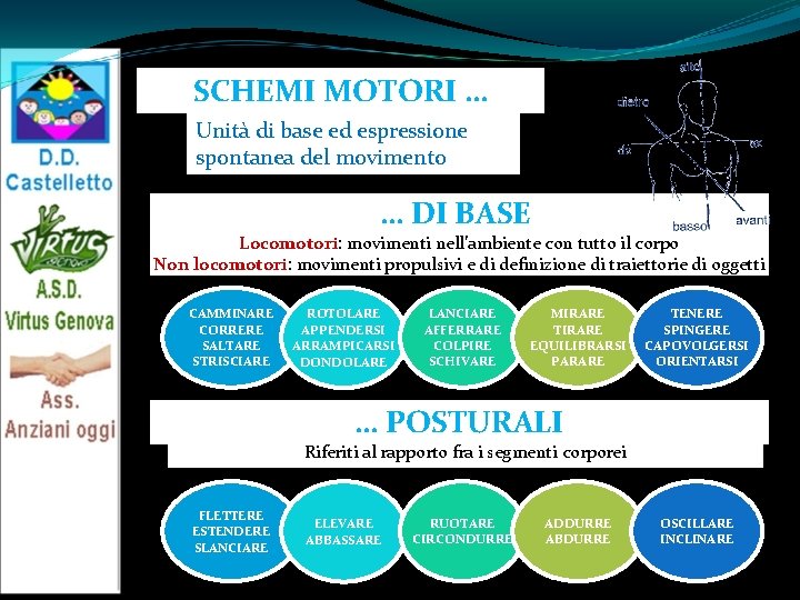 SCHEMI MOTORI … Unità di base ed espressione spontanea del movimento … DI BASE