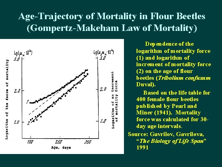 Age-Trajectory of Mortality in Flour Beetles (Gompertz-Makeham Law of Mortality) Dependence of the logarithm
