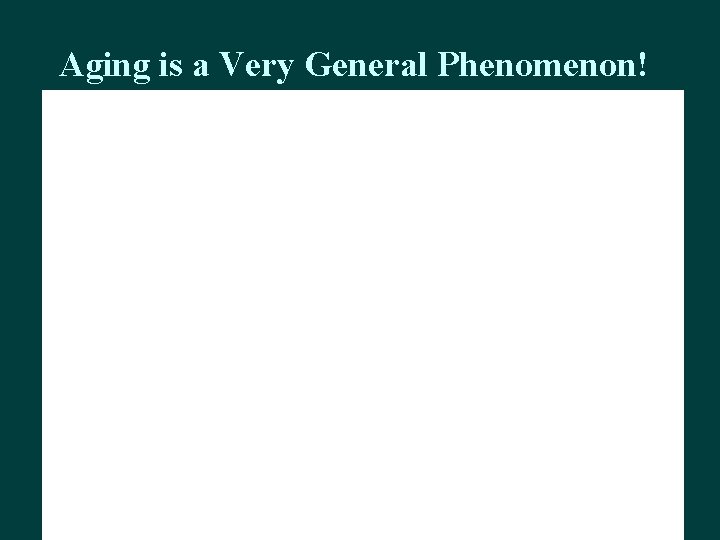 Aging is a Very General Phenomenon! 