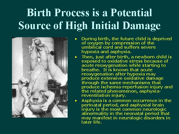 Birth Process is a Potential Source of High Initial Damage • • • During
