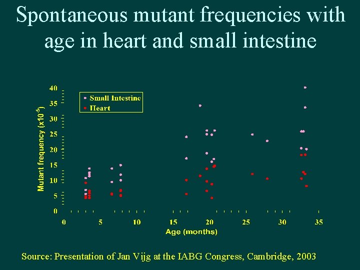 Spontaneous mutant frequencies with age in heart and small intestine Source: Presentation of Jan