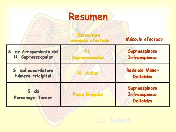 Resumen Estructura nerviosa afectada Músculo afectado S. de Atrapamiento del N. Supraescapular Supraespinoso Infraespinoso