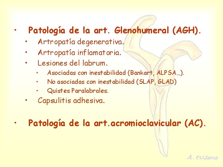  • Patología de la art. Glenohumeral (AGH). • • • Artropatía degenerativa. Artropatía