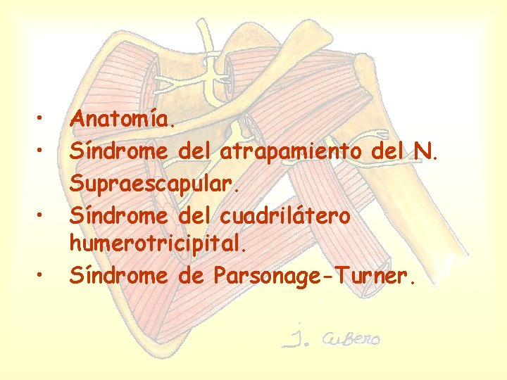  • • Anatomía. Síndrome del atrapamiento del N. Supraescapular. Síndrome del cuadrilátero humerotricipital.