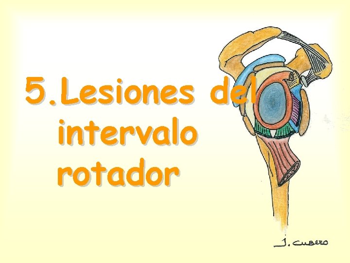 5. Lesiones del intervalo rotador 