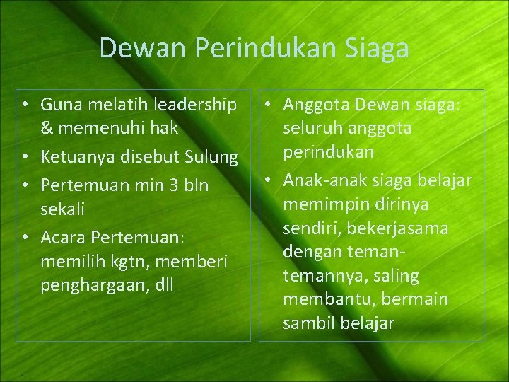 Dewan Perindukan Siaga • Guna melatih leadership & memenuhi hak • Ketuanya disebut Sulung Dewan Perindukan Siaga • Guna melatih leadership & memenuhi hak • Ketuanya disebut Sulung
