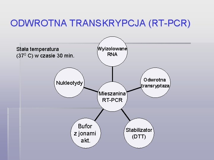 ODWROTNA TRANSKRYPCJA (RT-PCR) Stała temperatura (370 C) w czasie 30 min. Wyizolowane RNA Odwrotna