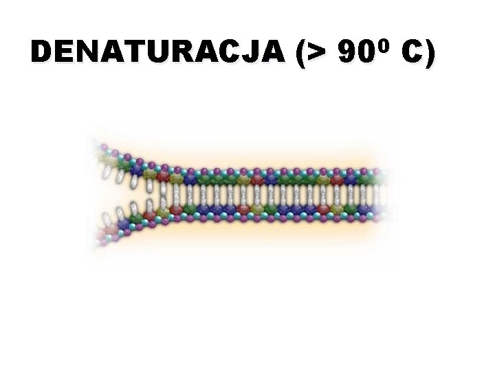 DENATURACJA (> 900 C) 