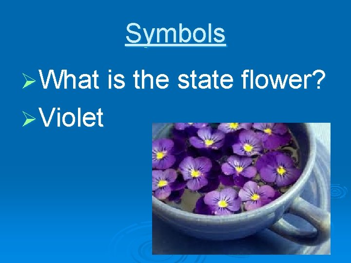 Symbols ØWhat is the state flower? ØViolet 