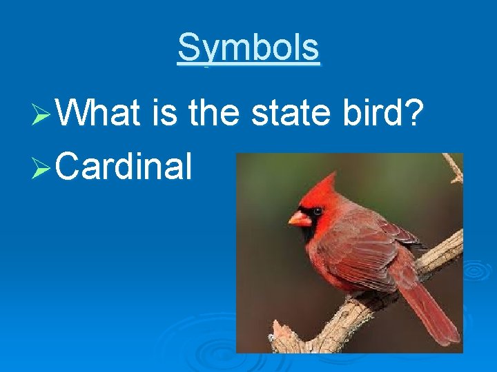 Symbols ØWhat is the state bird? ØCardinal 