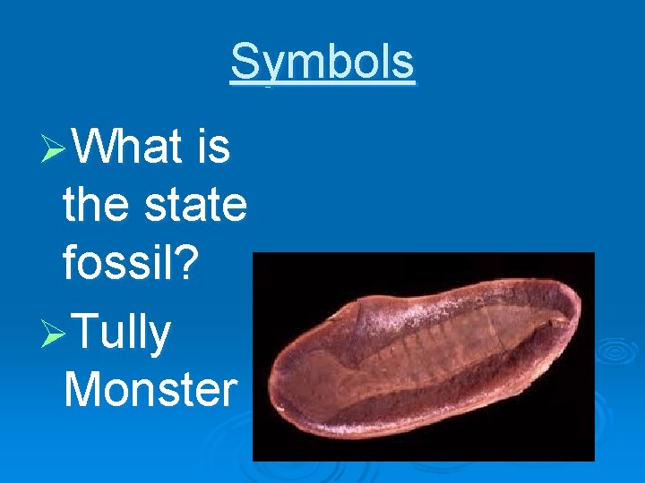 Symbols ØWhat is the state fossil? ØTully Monster 