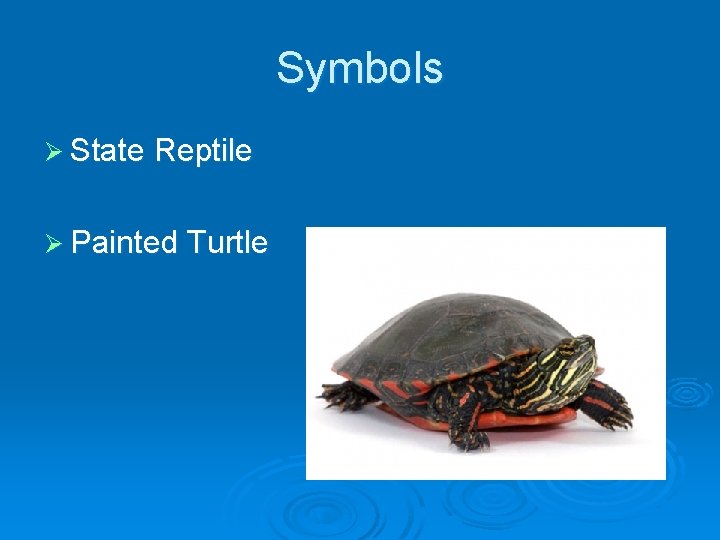 Symbols Ø State Reptile Ø Painted Turtle 
