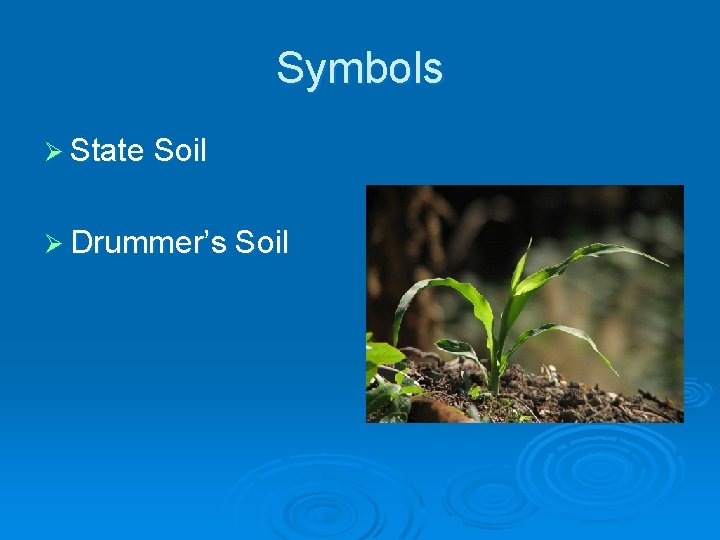 Symbols Ø State Soil Ø Drummer’s Soil 