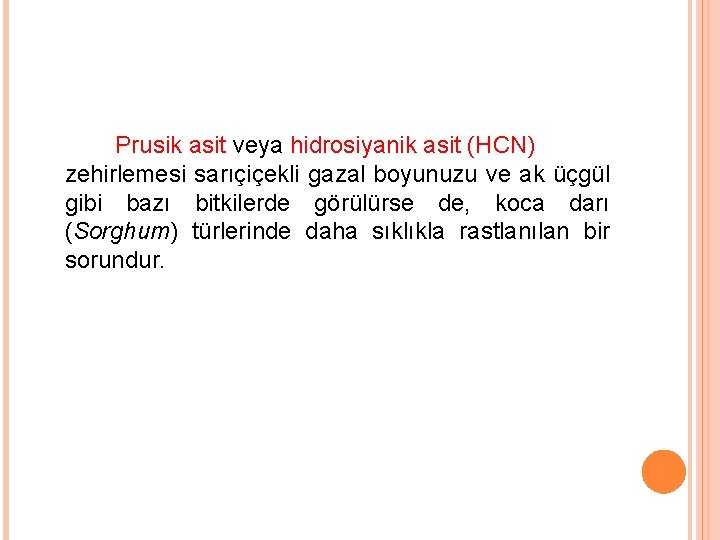 Prusik asit veya hidrosiyanik asit (HCN) zehirlemesi sarıçiçekli gazal boyunuzu ve ak üçgül gibi