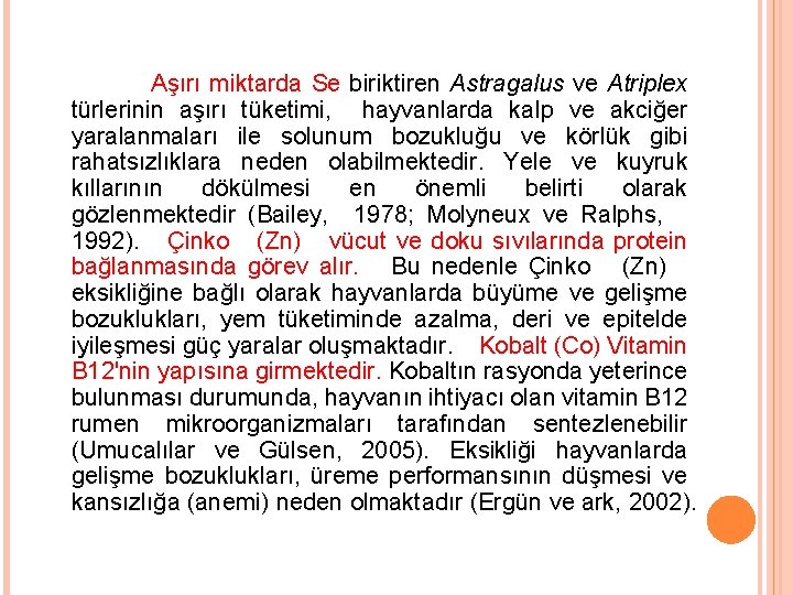 Aşırı miktarda Se biriktiren Astragalus ve Atriplex türlerinin aşırı tüketimi, hayvanlarda kalp ve akciğer