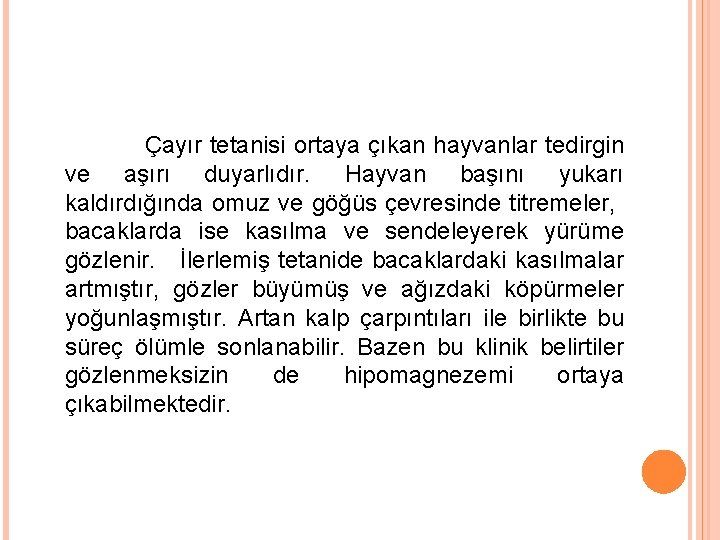 Çayır tetanisi ortaya çıkan hayvanlar tedirgin ve aşırı duyarlıdır. Hayvan başını yukarı kaldırdığında omuz