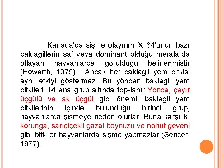 Kanada'da şişme olayının % 84'ünün bazı baklagillerin saf veya dominant olduğu meralarda otlayan hayvanlarda